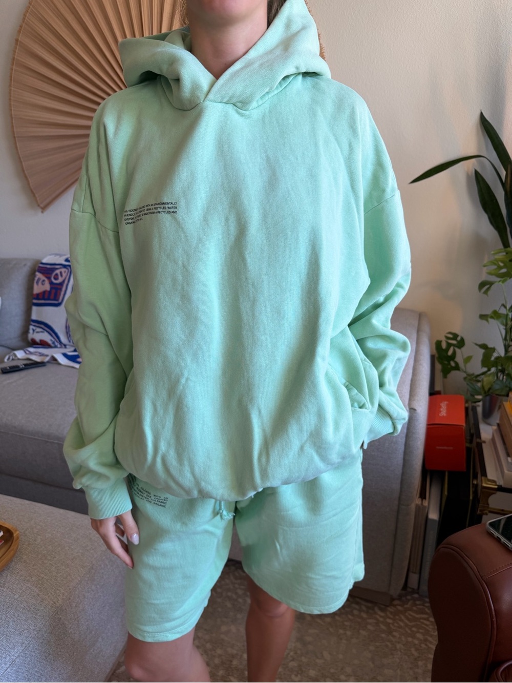 Relaxed Mint Green Sweatset for Women